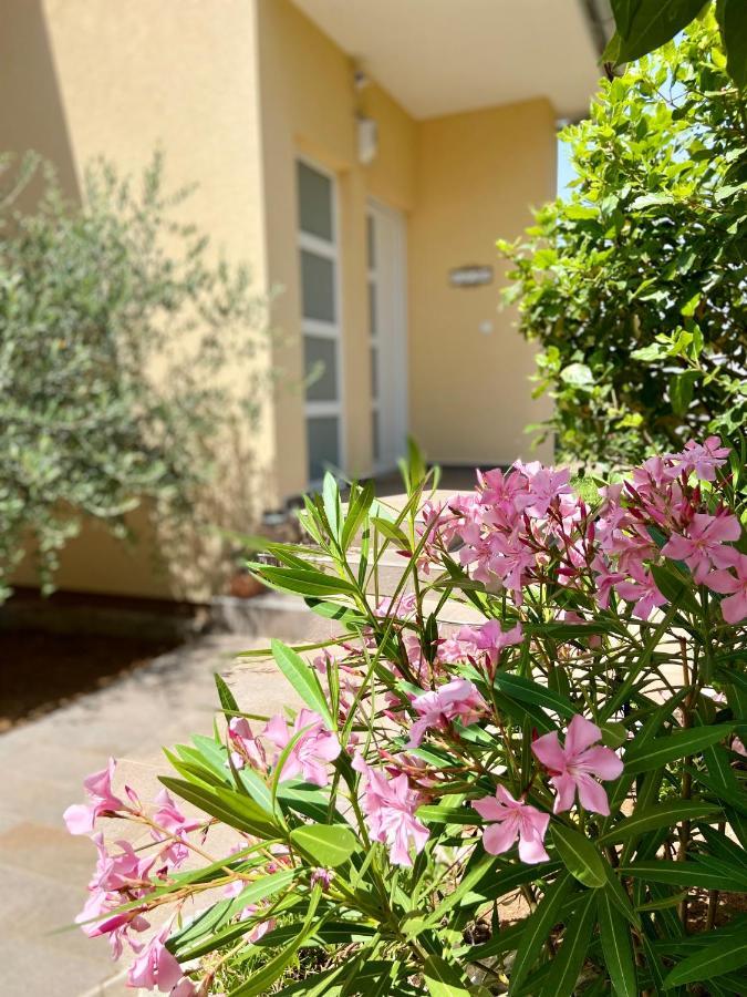 Villa Rudy Holiday Home นยีวีเซ ภายนอก รูปภาพ